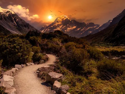 Wandbild und Fototapete mit einem Landschaftsmotiv mit dem Titel Der Pfad in die Berge - Sonnenuntergang am Mount Cook in der Max Steinwald Art Galerie