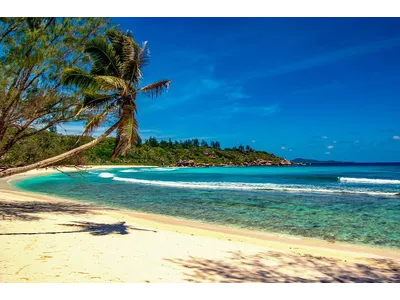 Wandbild und Fototapete mit einem Landschaftsmotiv mit dem Titel Traumstrand Anse Cocos - La Digue - Seychellen in der Max Steinwald Art Galerie