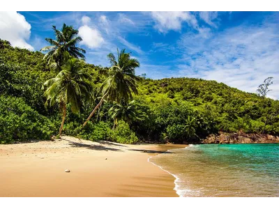 Wandbild und Fototapete mit einem Landschaftsmotiv mit dem Titel Traumstrand Anse Major - Mahé - Seychellen 2 in der Max Steinwald Art Galerie