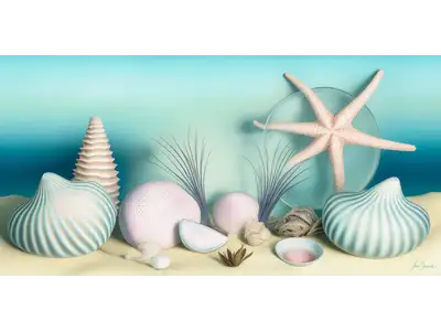 Wandbild und Fototapete mit einem Stillleben mit dem Titel Meereszauber-Stillleben mit Muscheln und Seesternen in der Max Steinwald Art Galerie